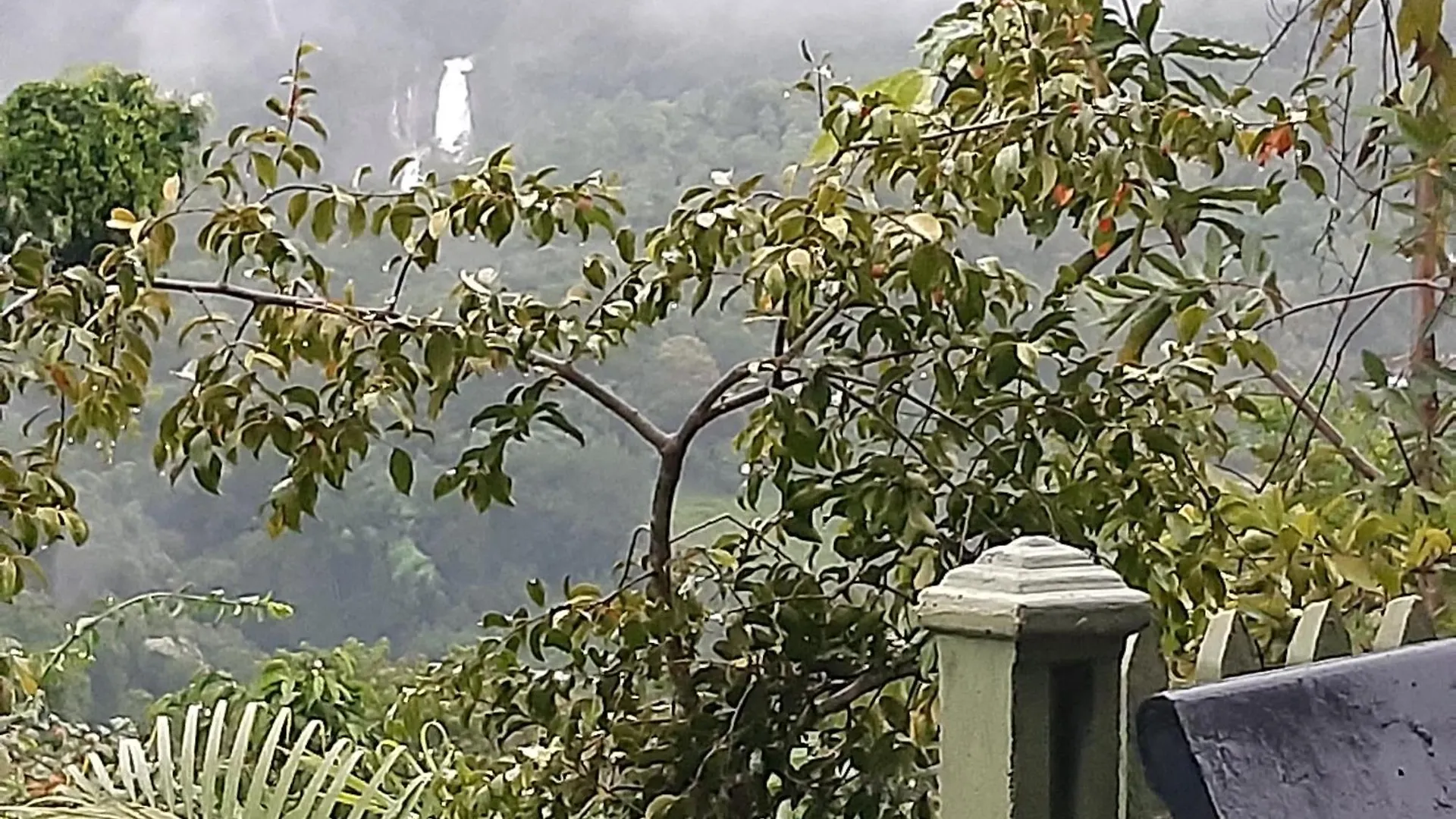 Lodge Rajagala Residence Bungalow Hunnasgiriya Kandy