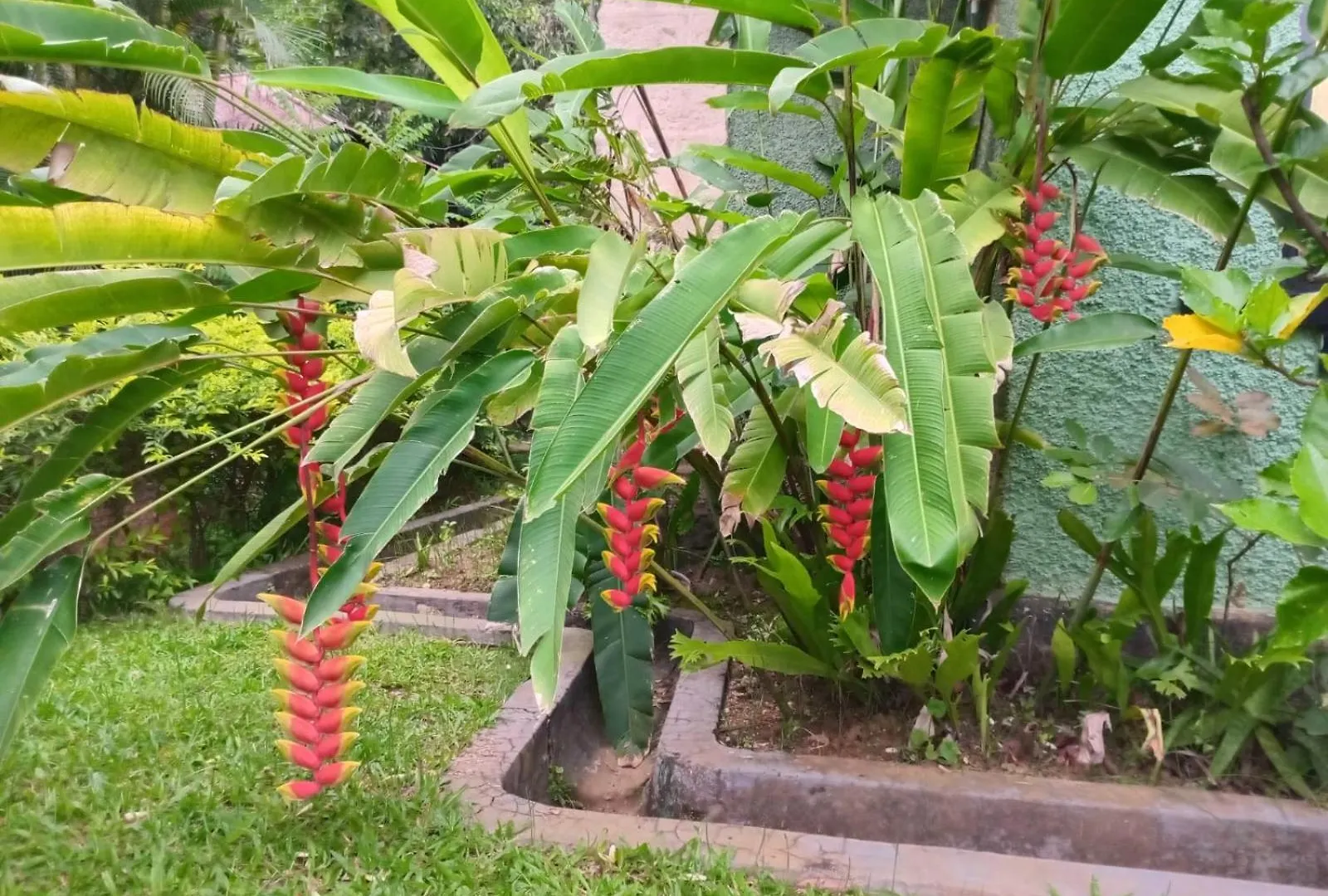 Rajagala Residence Bungalow Hunnasgiriya Kandy Sri Lanka